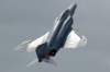 kp10_3828_small.jpg