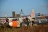 dsc_0089_small.jpg