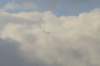 cs_151125_b744_small.jpg