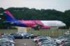 cs_150822_halyt_small.jpg