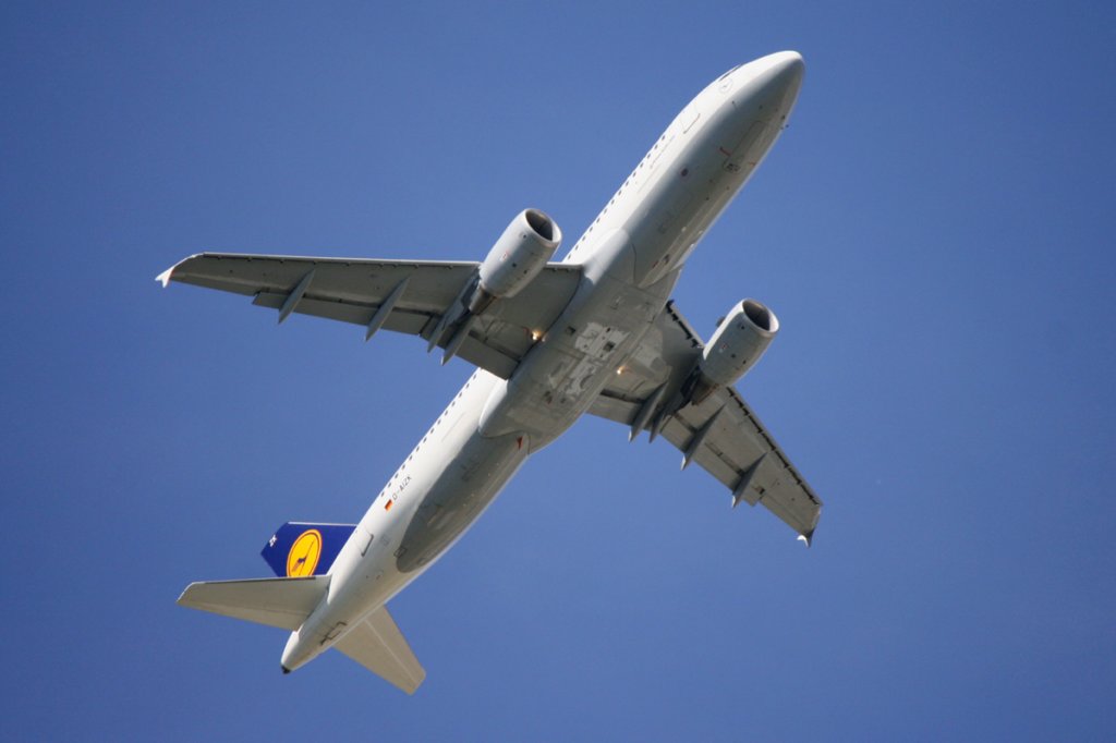 cs_150822_daizk.jpg