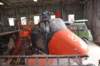 dsc_0096_small.jpg